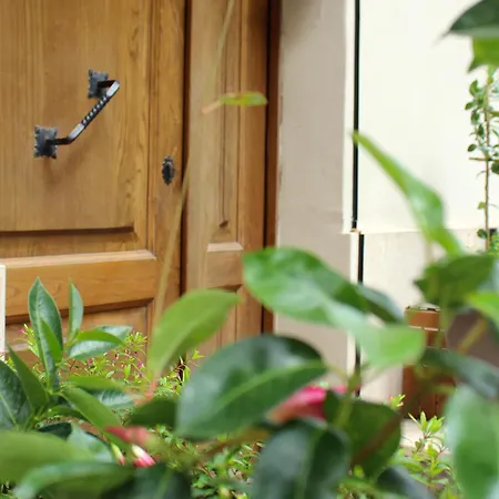 Apartamento In Centro Living Pescara